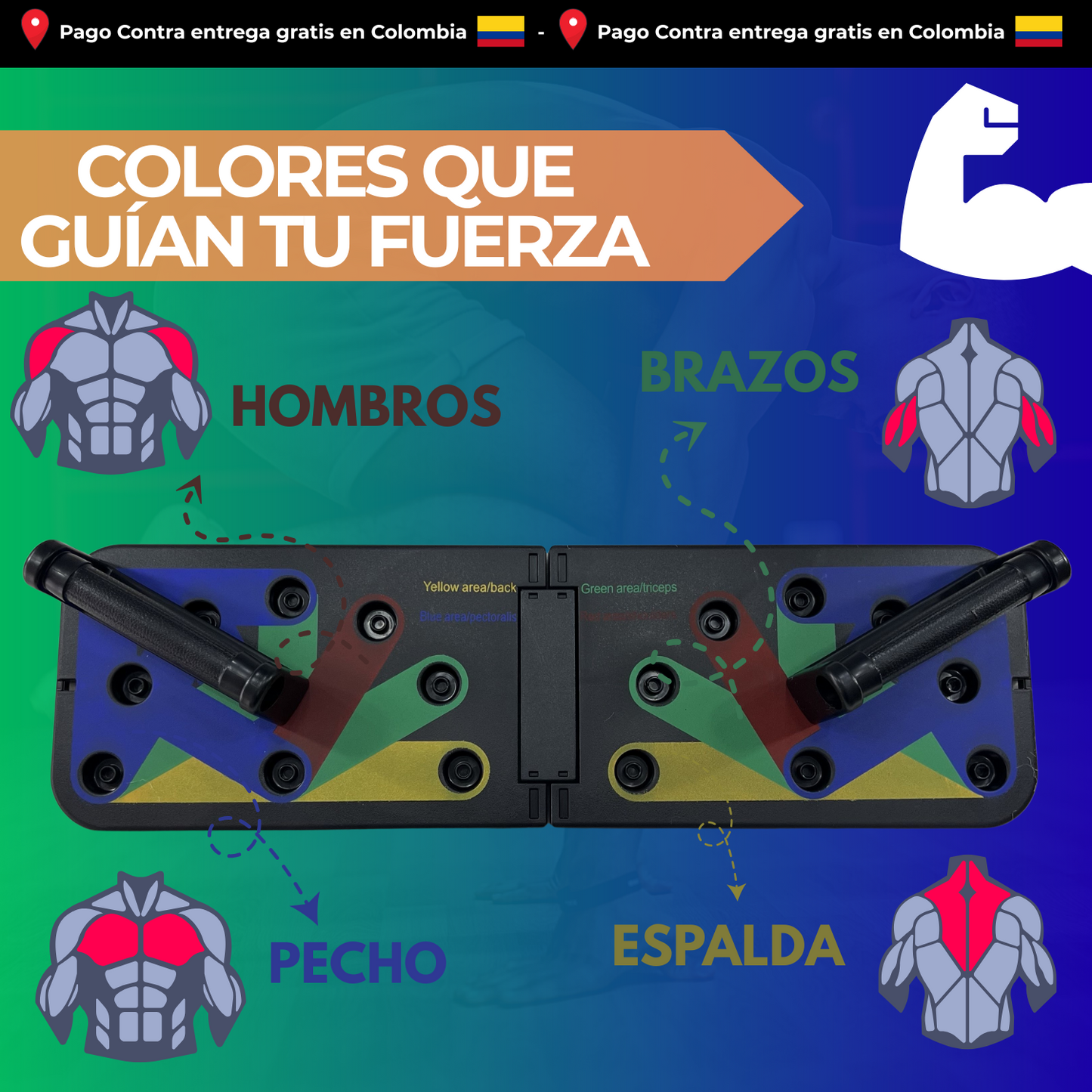 Tabla de Flexiones Multifuncional